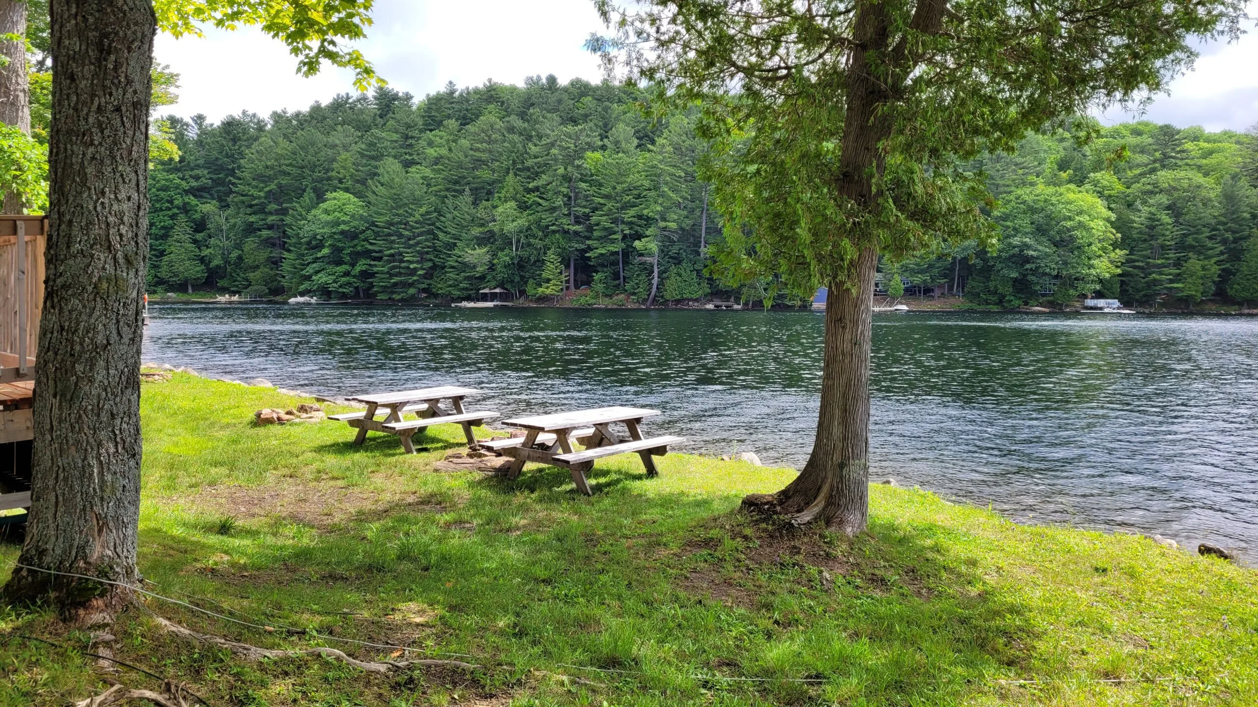 Lake and forest shoreline
