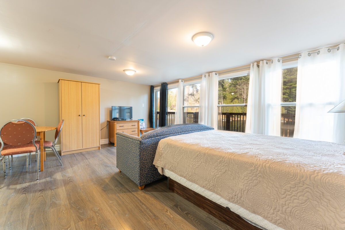 Deluxe Lakefront Cabin studio with queen bed and seating