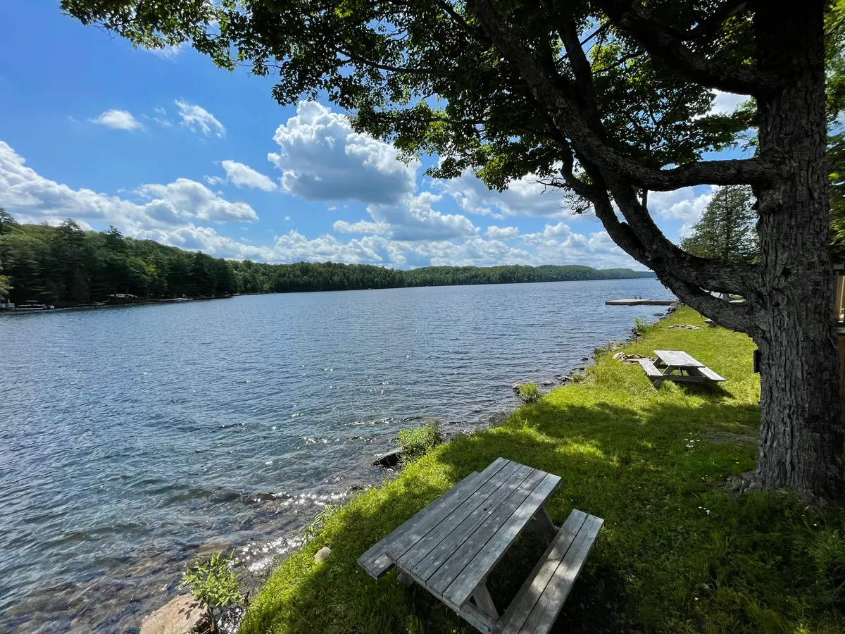 Relaxing resort view over the lake